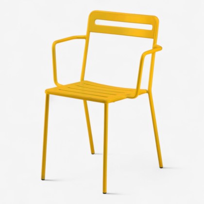 S_c1_2_4_senape-Photoroom