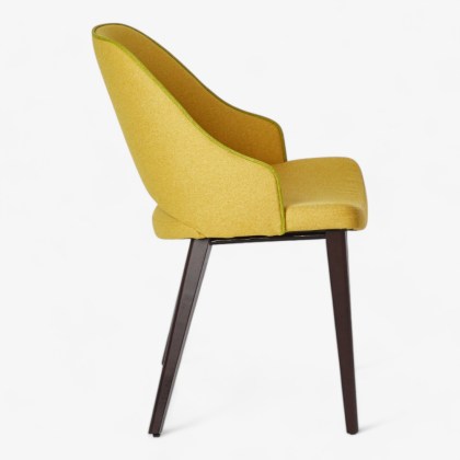 Shark_2211-Photoroom