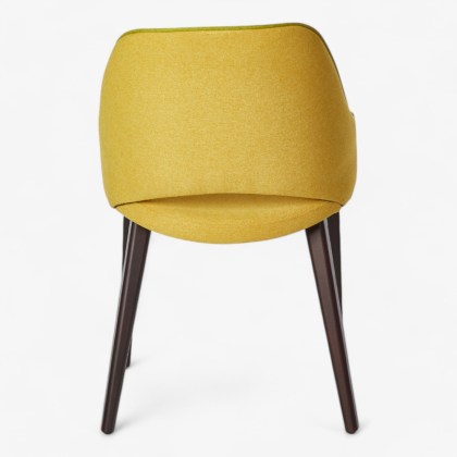 Shark_2213-Photoroom